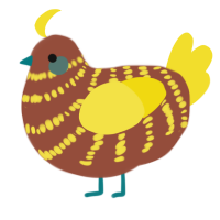 A russet and yellow chicken with a bar pattern