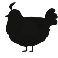 spook, a black chicken with a neck-speckle pattern