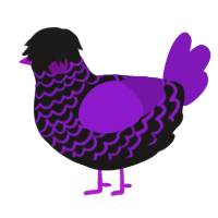 Violet, a sable and violet chicken with a lace pattern