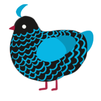Neony, a sable and cerulean chicken with a lace pattern