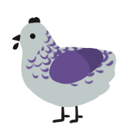 holding for a friend, a silver and overcast chicken with a half-lace pattern