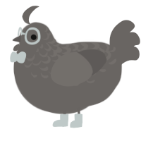 A grey chicken with a half-lace pattern