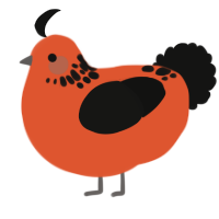 Precious, a vermilion and black chicken with a neck-speckle pattern