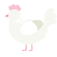 Marshmallow, a white chicken with a neck-speckle pattern