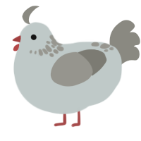 A silver and ash chicken with a neck-speckle pattern