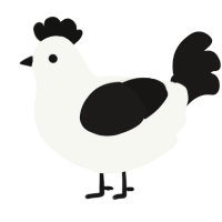 Risk, a white and sable chicken