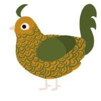 A ochre and olive chicken with a double-lace pattern