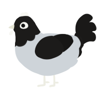 OREO, a mist and sable chicken with a head pattern