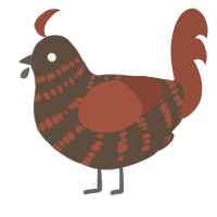 wholemeal turd, a bark and russet chicken with a bar pattern