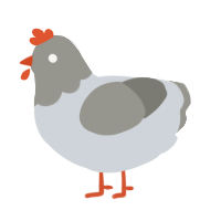 A mist and ash chicken with a head pattern