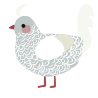 A silver and white chicken with a double-lace pattern
