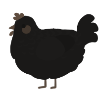A sable chicken with a half-lace pattern