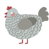 (unnamed), a silver and ash chicken with a lace pattern