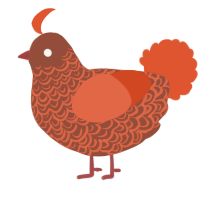 (unnamed), a russet and vermilion chicken with a double-lace pattern