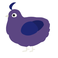 A overcast and navy chicken