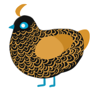 closer, a black and orange chicken with a double-lace pattern