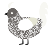 A grey and white chicken with a double-lace pattern