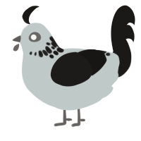 A silver and sable chicken with a neck-speckle pattern