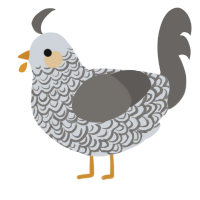 (unnamed), a mist and grey chicken with a double-lace pattern