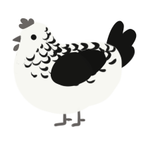 Yoinkidink, a white and black chicken with a half-lace pattern
