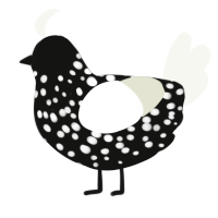 A black and white chicken with a speckle pattern