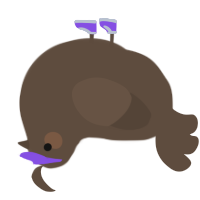 Jay, a bark chicken