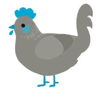 A ash chicken with a neck-speckle pattern