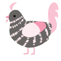 A grey and rose chicken with a bar pattern