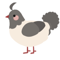 Pigeon in a bag, a cream and grey chicken with a head pattern