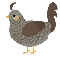 Pinestone, a ash and bark chicken with a lace pattern