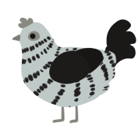 Fallen, a silver and sable chicken with a bar pattern