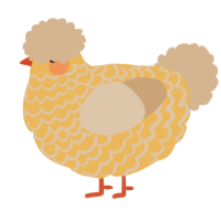 Serine, a honey and beige chicken with a lace pattern
