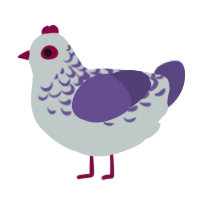 A silver and overcast chicken with a half-lace pattern