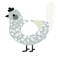 A silver and white chicken with a speckle pattern