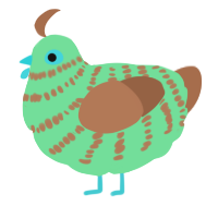 A spring and brown chicken with a bar pattern
