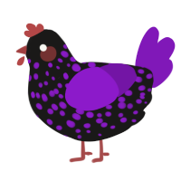 A sable and violet chicken with a speckle pattern