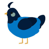 A sapphire and tumblr chicken with a head pattern
