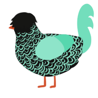 Waow, a black and mint chicken with a double-lace pattern