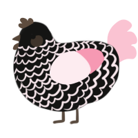 Ekoi, a black and rose chicken with a lace pattern