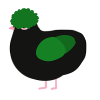 Parrot, a black and leaf chicken