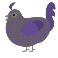 A grey and overcast chicken with a double-lace pattern