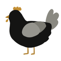 A black and ash chicken