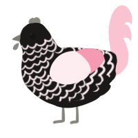 A sable and rose chicken with a lace pattern