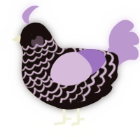 Starlight, a black and lilac chicken with a lace pattern