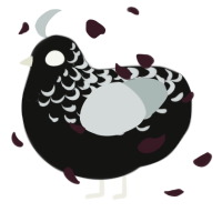 Black Death, a black and silver chicken with a half-lace pattern