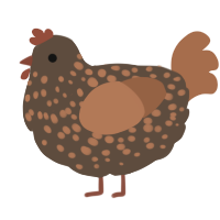 A bark and brown chicken with a speckle pattern