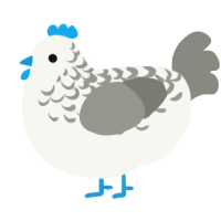 Izumi, a white and ash chicken with a half-lace pattern