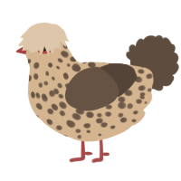 A beige and bark chicken with a speckle pattern