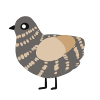 The Extinction, a grey and beige chicken with a bar pattern