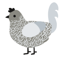 (unnamed), a ash and mist chicken with a double-lace pattern